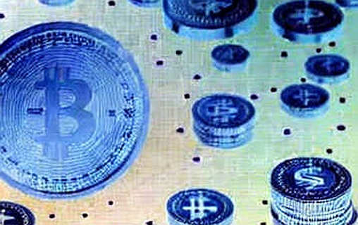 Kraken's 71% Profit Plunge: The Real Signal Beneath the Crypto Winter Narrative