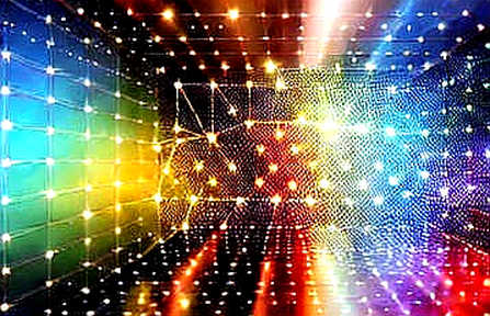 The Algorithm Priced the Ape: Nvidia's Earnings as a Liquidity Event