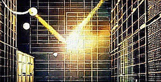 When the KOSPI Circuit Breaker Echoes in the DeFi Ledger