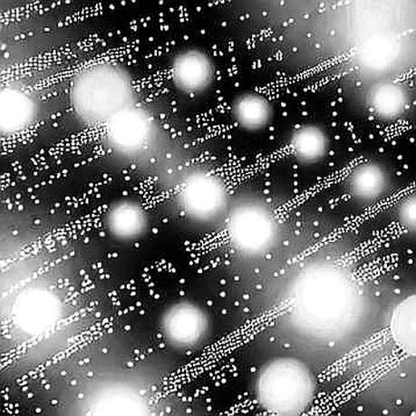 The OP Stack Fork: A Liquidity Fragmentation Machine Disguised as Scalability The OP Stack Fork: A Liquidity Fragmentation Machine Disguised as Scalability