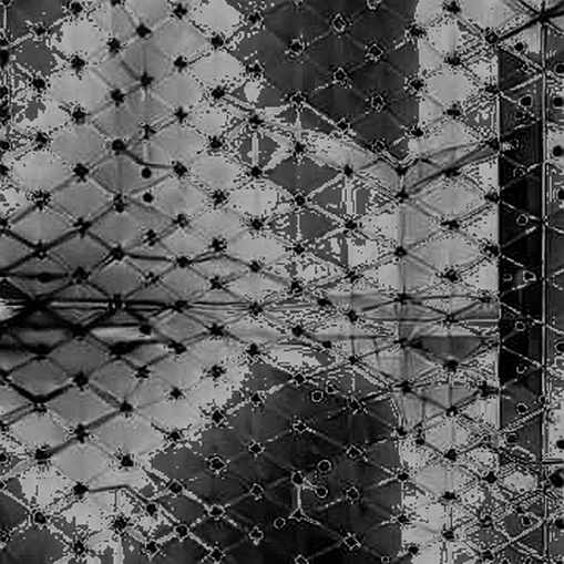 The Deep Freeze Myth: Bitcoin’s 47% Drop and the Fragility of Saylor’s Icebox