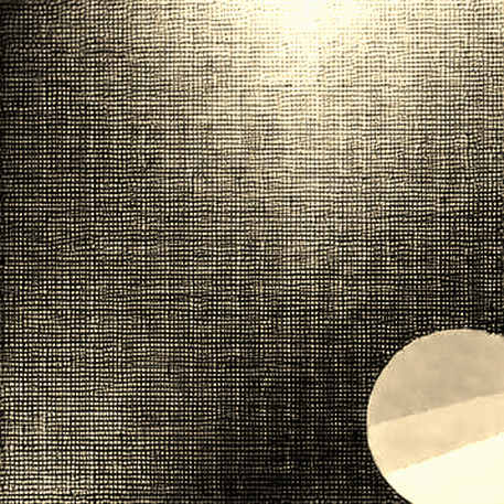 The Ghost in the Data: Waller's Demographic Doctrine and the Re-Framing of Market Truth