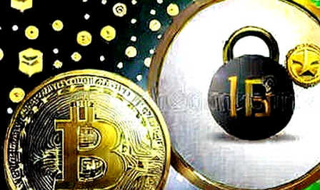 The Empty Ledger: When On-Chain Analysis Finds Absolutely Nothing The Empty Ledger: When On-Chain Analysis Finds Absolutely Nothing