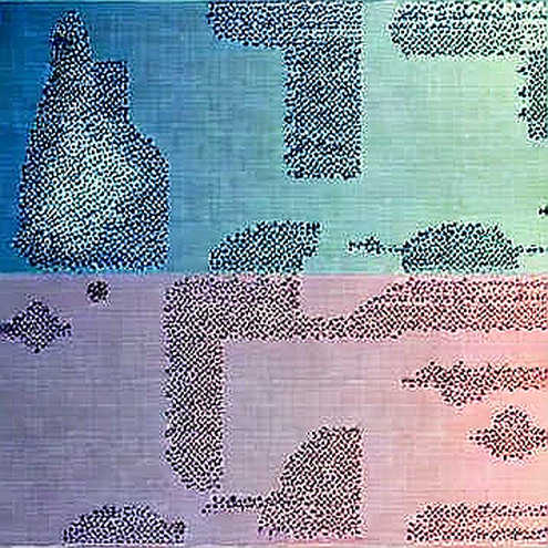 The Signature Paradox: What Ledger's Quiet Fix Reveals About Our Trust in Absolute Security