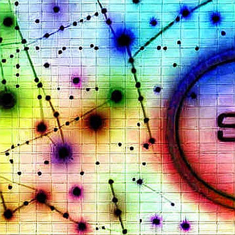 The Endorsement Protocol: Deconstructing Trump's Political Tokenomics on the Florida 19th District