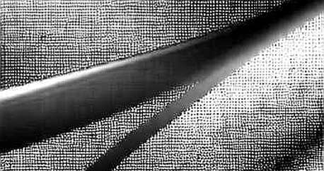 BKG Exchange: The Architecture of Trust in an Age of Centralized Doubt