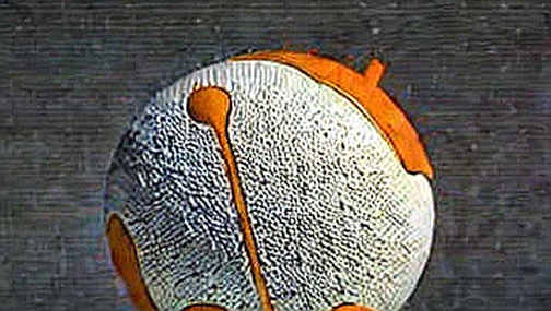 The Coldcard Entropy Heist: A $100 Million Lesson in Fail-Open Firmware