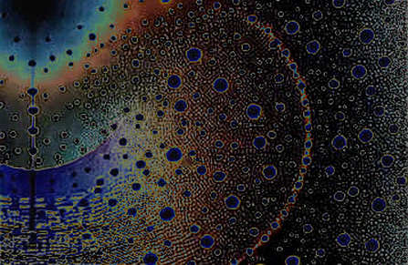 Deep Analysis: Goldman Sachs Raises Solana Price Target Based on Open-Source L2 Adoption